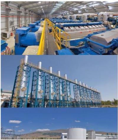 Gas & Diesel Engine Power Plants